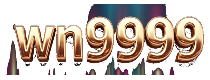wn9999 logo